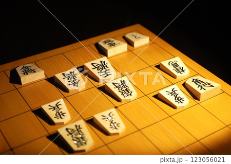 将棋の第74期王将戦第1局の投了棋譜 123056021