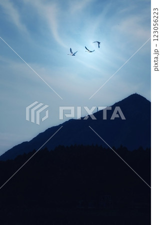 山に帰る鳥 山に帰る鳥 123056223