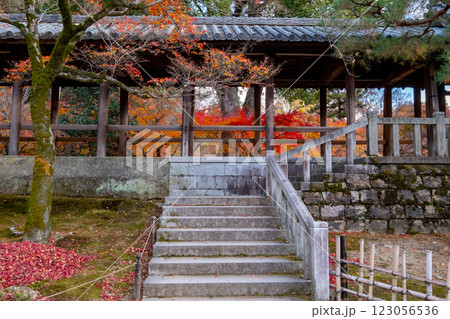 東福寺の紅葉　京都府京都市東山区 123056536