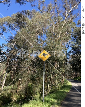 道路標識のある風景 道路標識のある風景 123056758