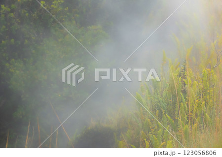 Volcano sulfur vents are steaming from under the grassy ground. 123056806