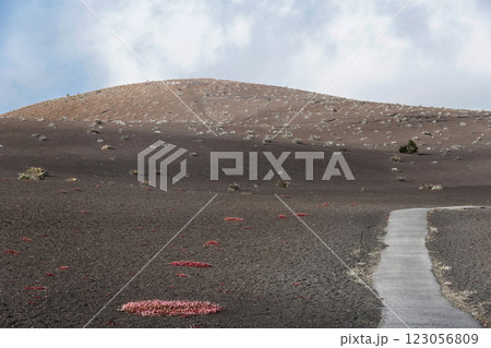 Black sand desert in a volcano park with a trail in Hawaii. 123056809