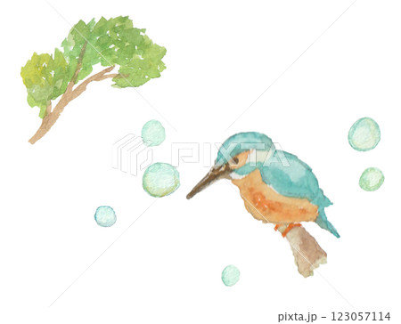水彩絵の具で描いたカワセミ 123057114