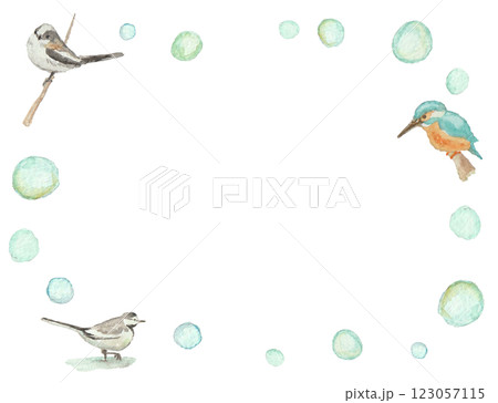 水彩絵の具で描いた野鳥の背景 123057115