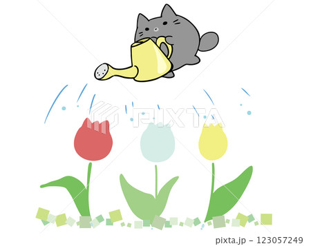 ねこ チューリップ 水やり 123057249