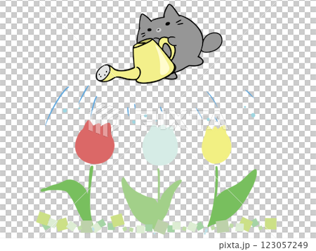 ねこ チューリップ 水やり 123057249