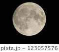 夜空に浮かぶ月 123057576