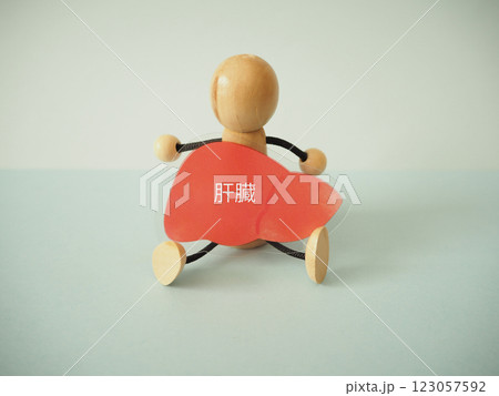 人形が肝臓のイラストを持っている	 123057592