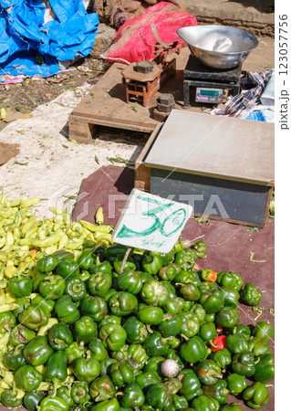 インド_野菜や果物を売る露天商の風景 123057756