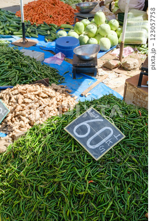 インド_野菜や果物を売る露天商の風景 インド_野菜や果物を売る露天商の風景 123057758