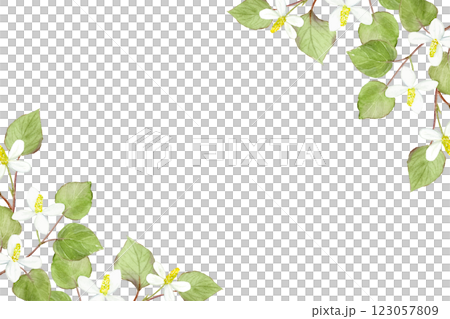 Watercolor dokudami frame vector 123057809