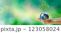 Hand holding plant on the world with sunny green grass bokeh background. Save clean planet, Save world and environment, Ecology, World Earth Day Concept. Elements furnished by NASA. 123058024