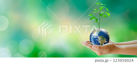 Hand holding plant on the world with sunny green grass bokeh background. Save clean planet, Save world and environment, Ecology, World Earth Day Concept. Elements furnished by NASA. Hand holding plant on the world with sunny green grass bokeh background. Save clean planet, Save world and environment, Ecology, World Earth Day Concept. Elements furnished by NASA. 123058024