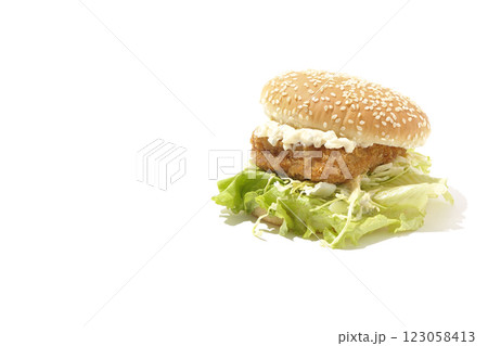 タルタルフィッシュバーガーを白背景で撮影 タルタルフィッシュバーガーを白背景で撮影 123058413