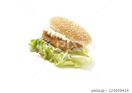 タルタルフィッシュバーガーを白背景で撮影 タルタルフィッシュバーガーを白背景で撮影 123058414