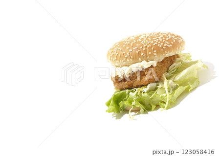 タルタルフィッシュバーガーを白背景で撮影 タルタルフィッシュバーガーを白背景で撮影 123058416