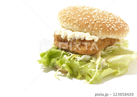 タルタルフィッシュバーガーを白背景で撮影 123058420