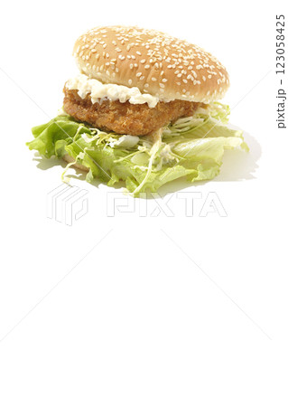 タルタルフィッシュバーガーを白背景で撮影 123058425