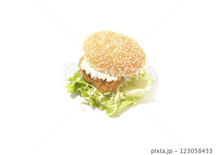 タルタルフィッシュバーガーを白背景で撮影 123058433