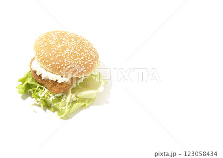 タルタルフィッシュバーガーを白背景で撮影 123058434
