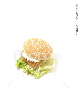 タルタルフィッシュバーガーを白背景で撮影 タルタルフィッシュバーガーを白背景で撮影 123058436