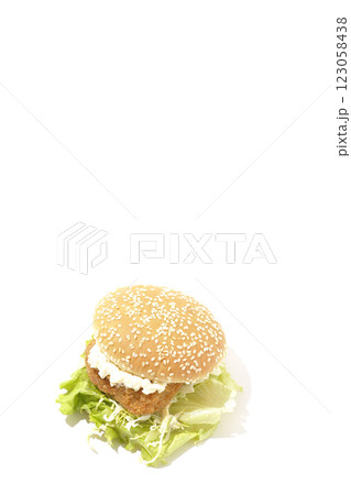 タルタルフィッシュバーガーを白背景で撮影 123058438