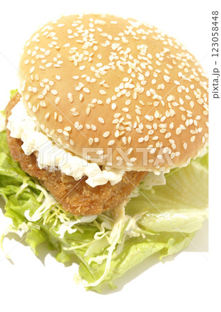 タルタルフィッシュバーガーを白背景で撮影 タルタルフィッシュバーガーを白背景で撮影 123058448