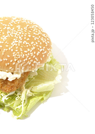 タルタルフィッシュバーガーを白背景で撮影 123058450