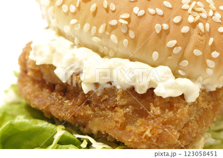 タルタルフィッシュバーガーを白背景で撮影 123058451