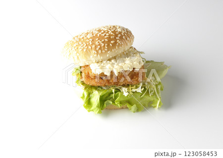 タルタルフィッシュバーガーを白背景で撮影 タルタルフィッシュバーガーを白背景で撮影 123058453