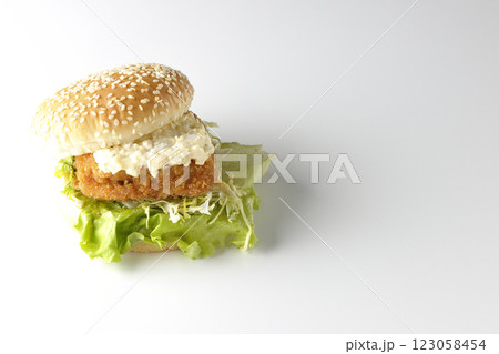 タルタルフィッシュバーガーを白背景で撮影 タルタルフィッシュバーガーを白背景で撮影 123058454