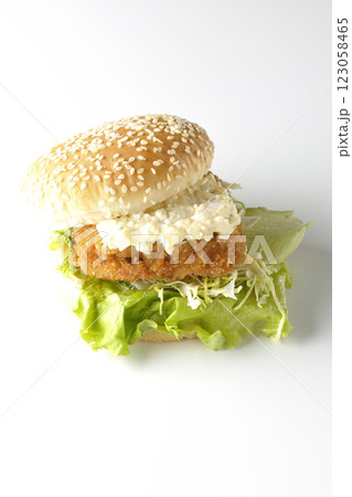 タルタルフィッシュバーガーを白背景で撮影 タルタルフィッシュバーガーを白背景で撮影 123058465