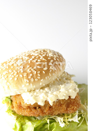 タルタルフィッシュバーガーを白背景で撮影 タルタルフィッシュバーガーを白背景で撮影 123058469