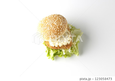 タルタルフィッシュバーガーを白背景で撮影 123058473