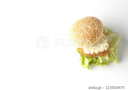 タルタルフィッシュバーガーを白背景で撮影 123058475