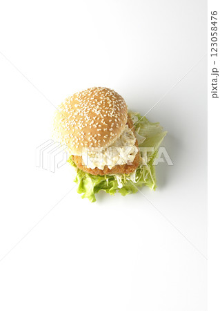 タルタルフィッシュバーガーを白背景で撮影 タルタルフィッシュバーガーを白背景で撮影 123058476
