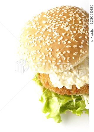 タルタルフィッシュバーガーを白背景で撮影 タルタルフィッシュバーガーを白背景で撮影 123058489