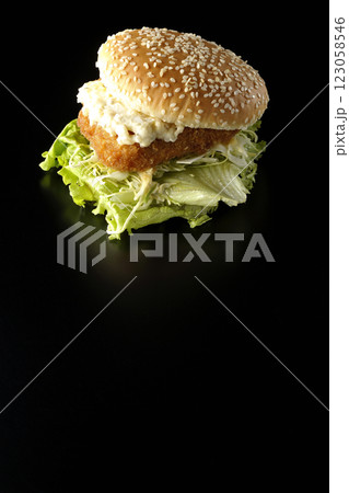 タルタルフィッシュバーガーを黒背景で撮影 タルタルフィッシュバーガーを黒背景で撮影 123058546