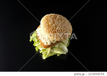 タルタルフィッシュバーガーを黒背景で撮影 タルタルフィッシュバーガーを黒背景で撮影 123058554