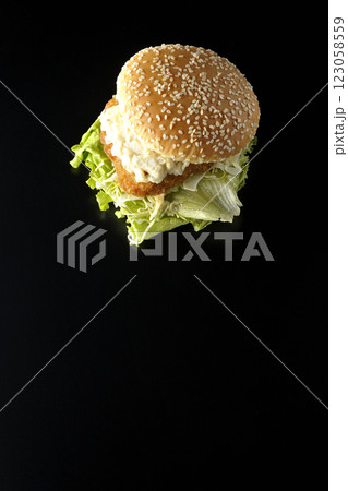 タルタルフィッシュバーガーを黒背景で撮影 タルタルフィッシュバーガーを黒背景で撮影 123058559
