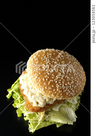 タルタルフィッシュバーガーを黒背景で撮影 123058561