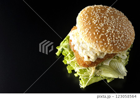 タルタルフィッシュバーガーを黒背景で撮影 タルタルフィッシュバーガーを黒背景で撮影 123058564