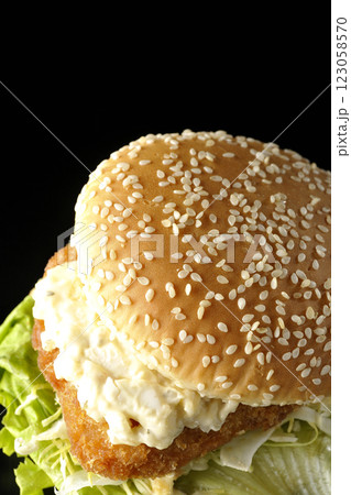 タルタルフィッシュバーガーを黒背景で撮影 タルタルフィッシュバーガーを黒背景で撮影 123058570