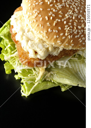 タルタルフィッシュバーガーを黒背景で撮影 タルタルフィッシュバーガーを黒背景で撮影 123058571