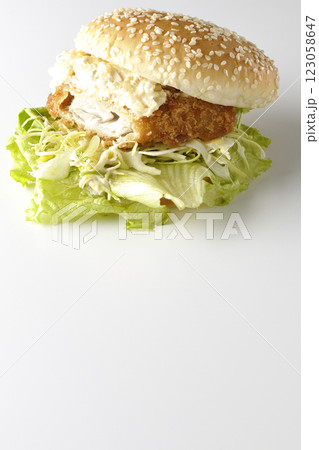 タルタルフィッシュバーガーを白背景で撮影(中身見せ) タルタルフィッシュバーガーを白背景で撮影(中身見せ) 123058647