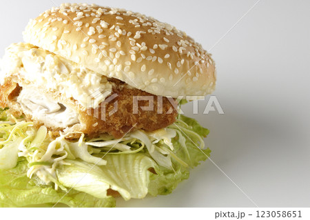 タルタルフィッシュバーガーを白背景で撮影(中身見せ) タルタルフィッシュバーガーを白背景で撮影(中身見せ) 123058651