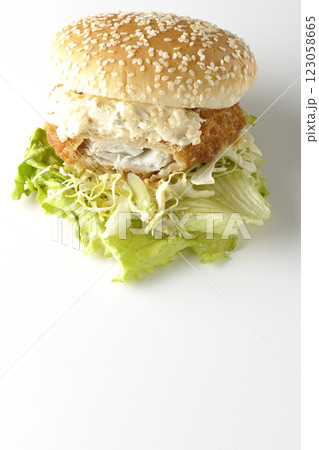 タルタルフィッシュバーガーを白背景で撮影(中身見せ) タルタルフィッシュバーガーを白背景で撮影(中身見せ) 123058665