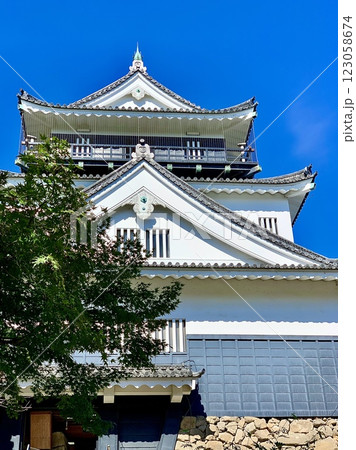 秋晴れの青空に映える岡崎城天守閣を仰ぎ見る〈岡崎城公園/愛知県岡崎市〉 秋晴れの青空に映える岡崎城天守閣を仰ぎ見る〈岡崎城公園/愛知県岡崎市〉 123058674