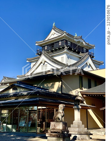 龍城神社本殿前から青空の岡崎城天守閣を仰ぎ見る〈岡崎城公園/愛知県岡崎市〉 123058676