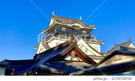龍城神社本殿の屋根越しに仰ぎ見る青空の岡崎城天守閣〈岡崎城公園/愛知県岡崎市〉 123058858
